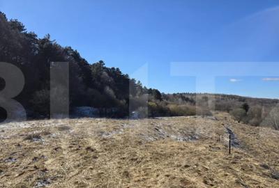 Teren în Feleacu - 13