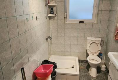 Ciorogarla-casa Sp+ P+M, garaj 2 loc+pod locuibil si casa oaspeti, teren=1097mp - 13