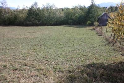 Spațiu comercial, în Drumul Carului - 5