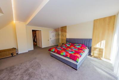 Casa de vis in Loc. Intrerauri - 10