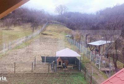 Casă cu 2 camere în Chinari - 5