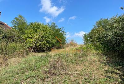 TEREN INTRAVILAN 2905 MP | DIOSIG - 3