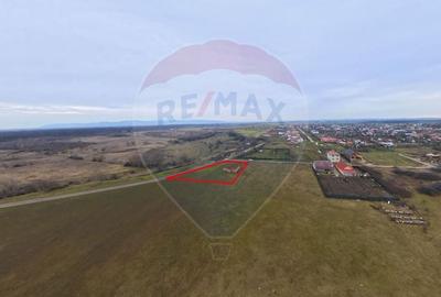 Teren Construcții intravilan de 2651 mp, în Frumușeni - 6