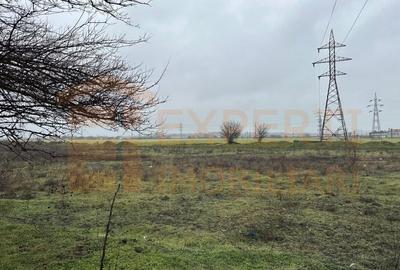 Teren Construcții extravilan de 21200 mp, în Lumina - 4