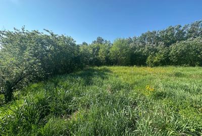 Casă cu 2 camere cu Teren 3200 Mp în Ozun - 9