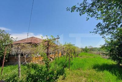 Teren de vanzare, 7300 mp, zona Danesti - 3
