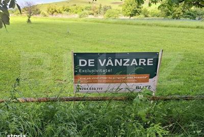 Spațiu comercial, în Sopor - 1