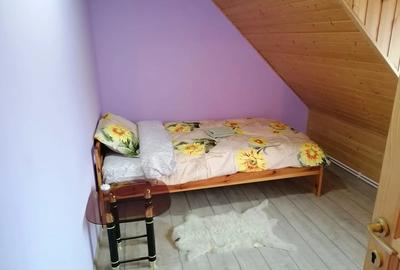 Casa De Vanzare cu parter, mansarda, beci boltit tip crama ?i ?ura amenajata foarte spa?ioasa - 6