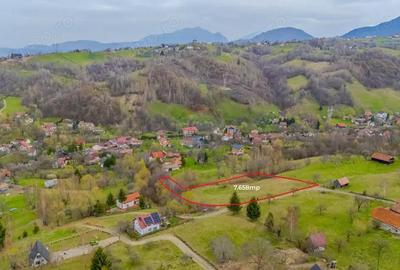 Teren de 7658 mp, în Bran - 3