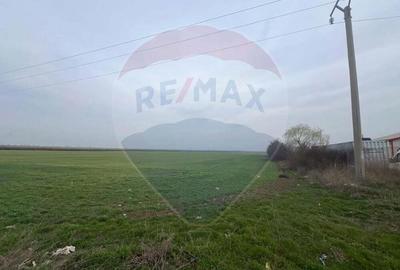 Teren de 13300 mp, în Podgoria - 2