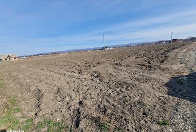 Teren de 710 mp, în Calea Bârladului