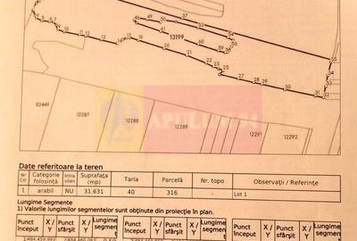 Teren de 94000 mp, în Bradu