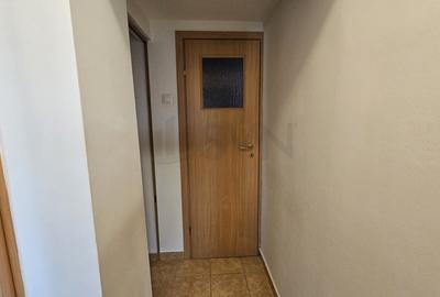 REA1024894 Apartament 2 camere Gorjului - 9