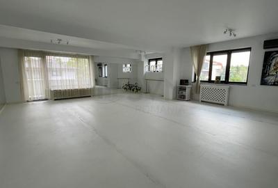 Casă individuală cu 12 camere în Domenii