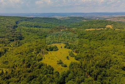 COMISION 0% Teren Grid/Inima Naturii/ Oportunitate de inv... - 6