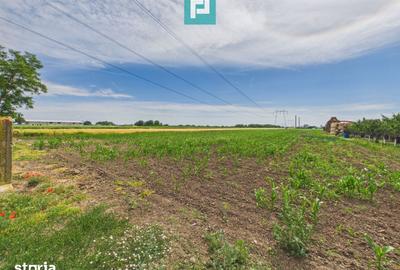 Teren de 5000 mp, în Gai - 11
