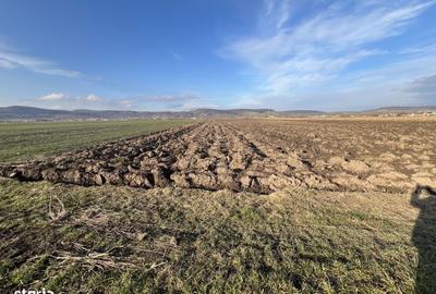 Spațiu comercial, în Cristian - 2