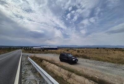 Vanzare teren intravilan - 1070 mp - strada Ciocarlau - spre Preajba - 5