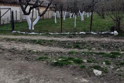 Spațiu comercial, în Orlat - 6