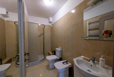 Apartament cu 3 camere decomandat în Lunca Cetățuii - 7