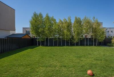 Casa cu Mesteceni!  Complex Lalelelor Domnești - 24