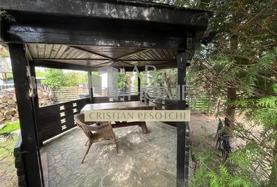 Vila Centru Brebu  153mp s,c, - 32