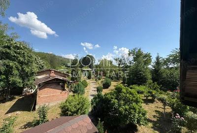 *Domeniu* cu poten?ial turistic - casa de vis, livada ?i vie - Bumbe?ti-Jiu - 10