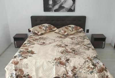 Apartament cu 2 camere decomandat în Ultracentral - 2