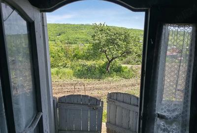 Casă cu Teren 1829 Mp în Erbiceni - 5