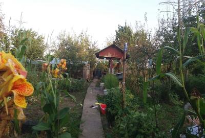 Vand urgent casa de vacanta o camera cu pod in Ghizdaru - 2