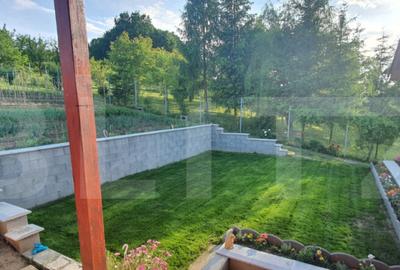 Cabana cu teren generos, 1824 mp, acces din 2 strazi Li - 6