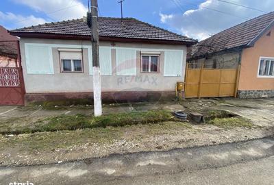 Casă cu 3 camere în Nou - 7