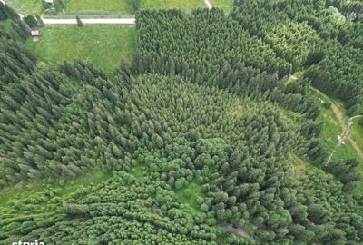 Teren de 5000 mp, în Comandău - 5