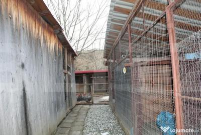 Casă cu 5 camere cu Teren 1337 Mp în Belin - 3