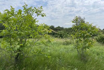 Teren Construcții intravilan de 1439 mp, în Crețești - 22