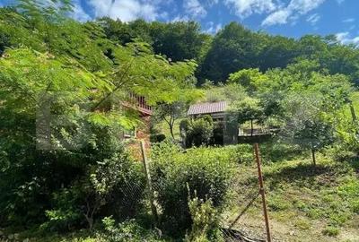 Casa de vacanta cu 4 camere, 1470 mp teren, Sugag - 9