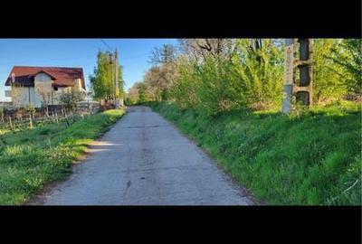 Teren de 3755 mp, în Șorogari - 6