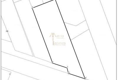 Satu Mare, Vetis, Teren mare cu front generos - 3