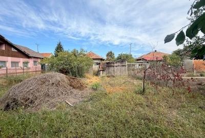 Casă individuală de vânzare, Mircea cel Bătrân, Timișoara - 4