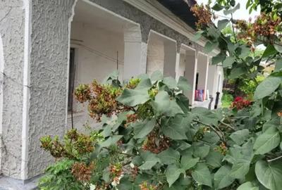 Casă cu 6 camere cu Teren 1351 Mp în Cernica