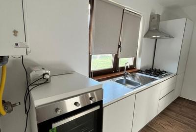 Sanandrei – Duplex  2  Camere – Pod  Mansardabil - 6