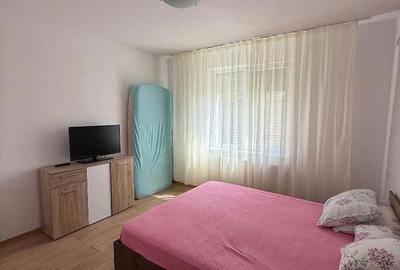 Apartament cu 3 camere în Cetate - 9