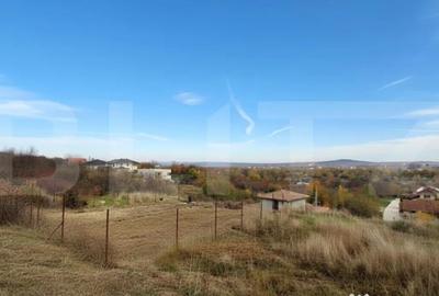 Teren de 10200 mp, în Dealuri Oradea