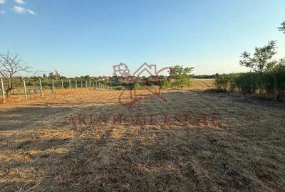 Teren intravilan 2.192 mp cu front 20 m Seceani, Timi? - 6