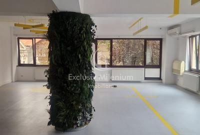 Piata Unirii Vila / Casa Birouri  Serban Voda- Cantemir - 11