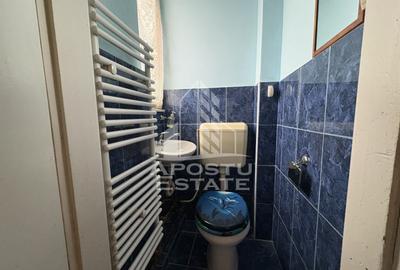 Piața Iosefin | Apartament 134 mp, etaj intermediar, balcon - 7