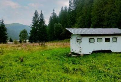 Teren de 1500 mp, în Mitocu Dragomirnei