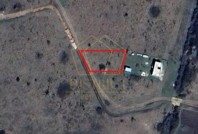 Teren Intravilan 703mp | Mosnita Noua | Centura | - 2