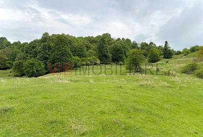 Teren de vanzare Breaza - Nistoresti, Str. Muresului - 6