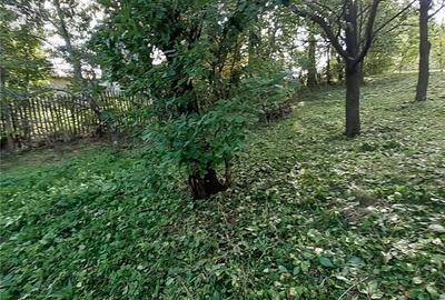 Teren de 2500 mp, în Pietriceaua - 2